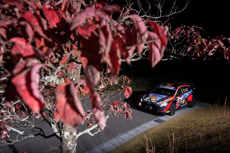 Thierry Neuville, Martijn Wydaeghe