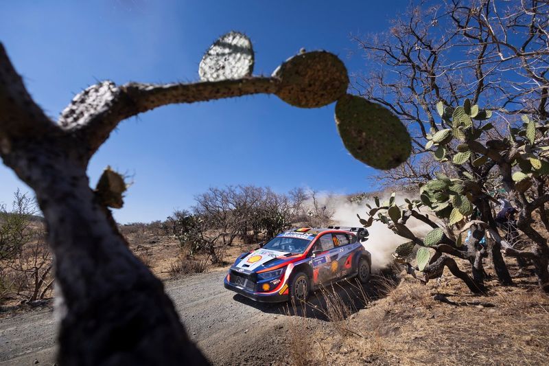 Thierry Neuville, Martijn Wydaeghe, Hyundai World Rally Team Hyundai i20 N Rally1