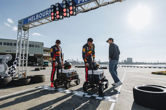 Max Verstappen, Red Bull Racing, Alex Albon, Red Bull Racing
