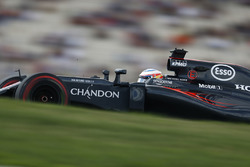 Фернандо Алонсо, McLaren MP4-31