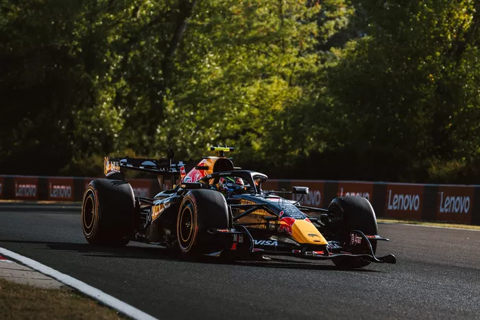 Isack Hadjar, Red Bull Racing