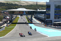 Андреа Довіціозо, Ducati Team
