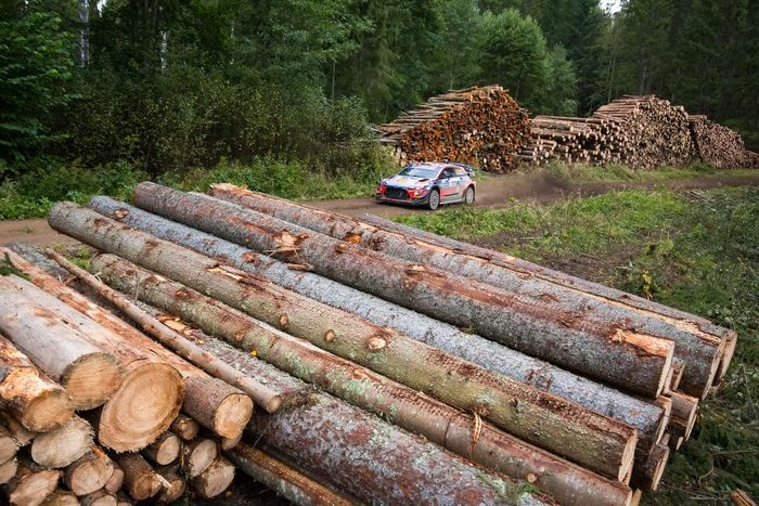 Craig Breen, Paul Nagle, Hyundai Motorsport Hyundai i20 Coupe WRC