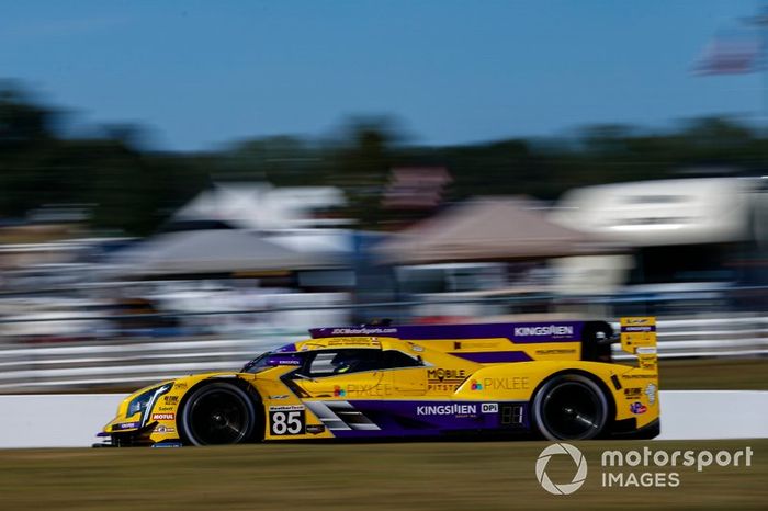#85 JDC-Miller Motorsports Cadillac DPi, DPi: Misha Goikhberg, Tristan Vautier, Juan Piedrahita