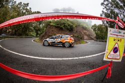 Алексей Лукьянюк и Алексей Арнаутов, Ford Fiesta R5