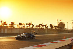 #77 Dempsey Proton Competition Porsche 911 RSR: Рихард Лиц, Микаэль Кристенсен