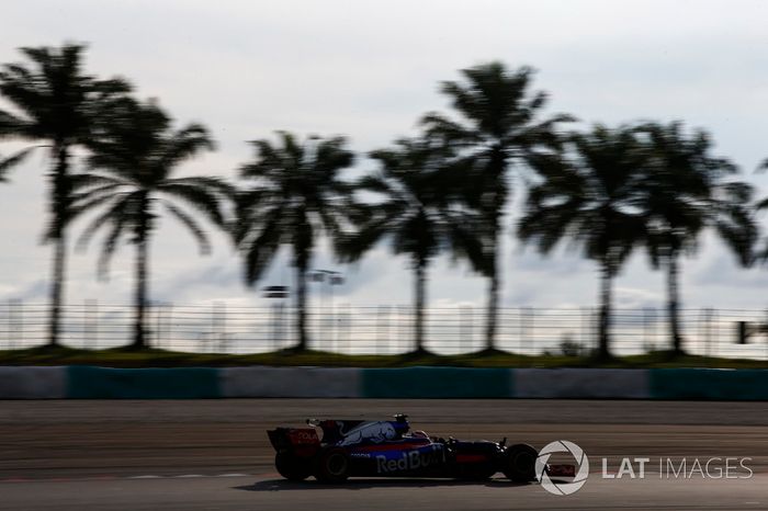 Pierre Gasly, Scuderia Toro Rosso STR12