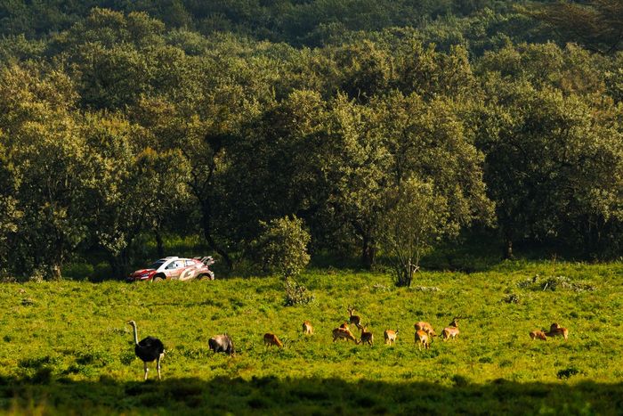 Takamoto Katsuta, Aaron Johnston, Toyota Gazoo Racing WRT Toyota GR Yaris Rally1
