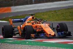 Stoffel Vandoorne, McLaren MCL33, pintura aerodinámica en halo