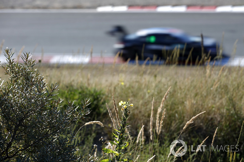 Bruno Spengler, BMW Team RBM, BMW M4 DTM