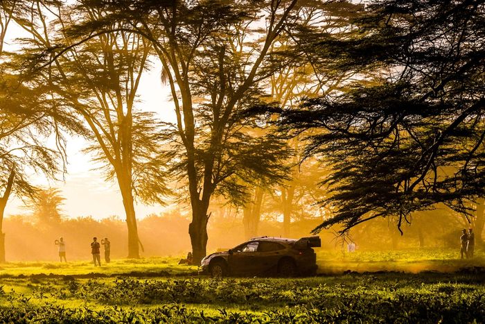 Джон Армстронг, Шейн Бирн, команда M-Sport Ford World Rally Team Ford Puma Rally1