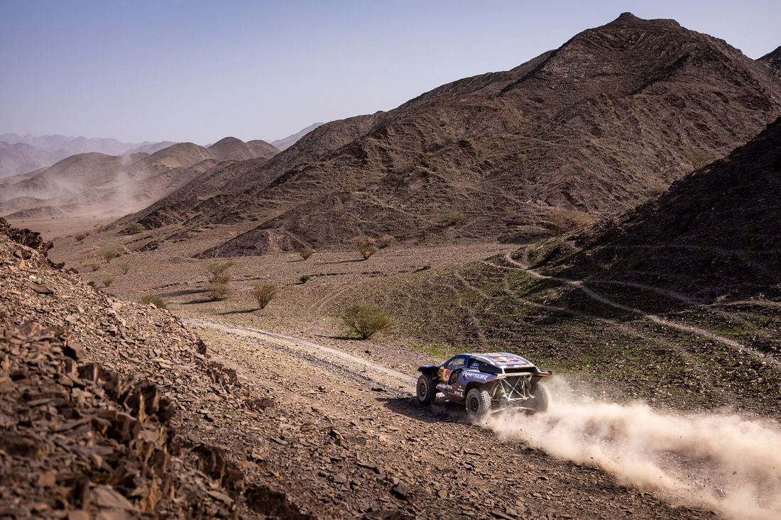 #226 Ford M-Sport: Mattias Ekstrom, Emil Bergkvist