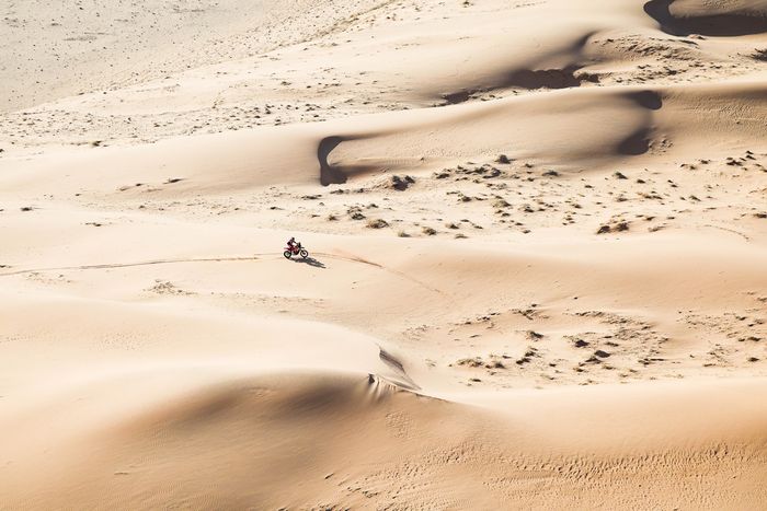 #1 Red Bull KTM Factory Racing KTM: Daniel Sanders