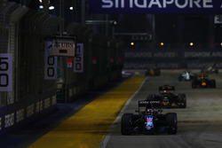 Fernando Alonso, McLaren MP4-31