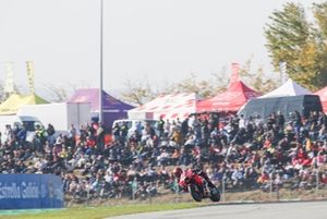 Francesco Bagnaia, Equipo Ducati