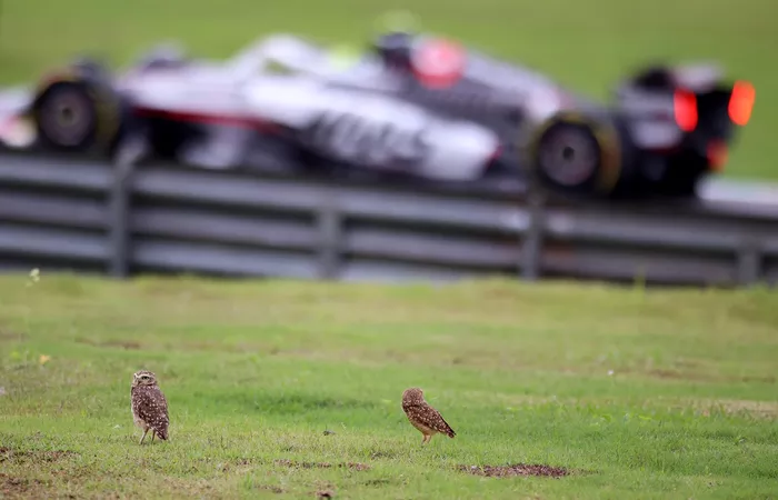 Oliver Bearman, Haas F1 Team
