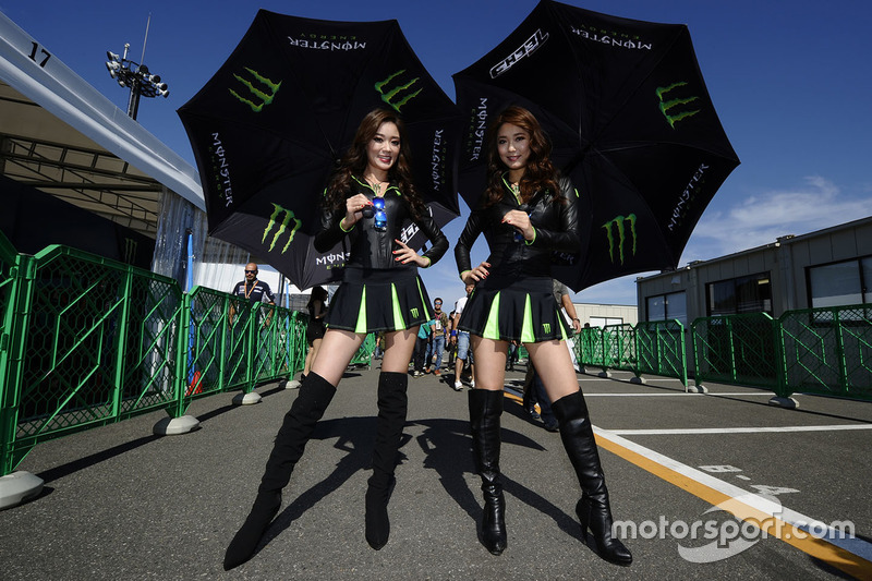 Чарівні дівчата Monster energy