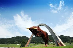 The Bull