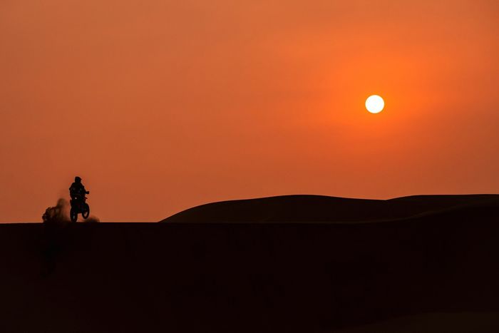 #1 Red Bull KTM Factory Racing KTM: Daniel Sanders