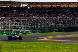 Stoffel Vandoorne, McLaren MCL32