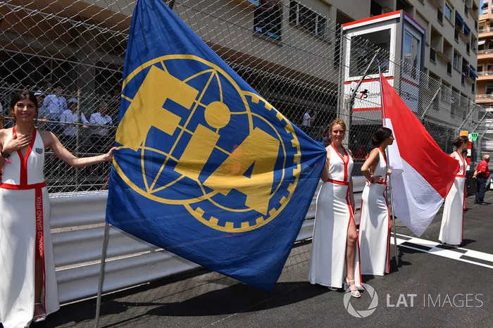 Chicas de la parrilla con banderas