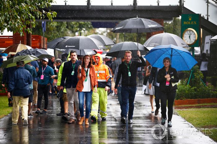 Rain continues to fall in the paddock