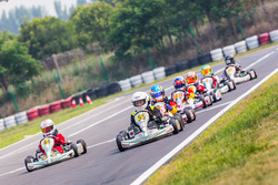 Mini Rok