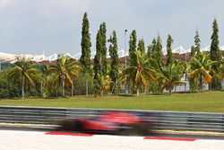Carlos Sainz Jr, Scuderia Toro Rosso STR11