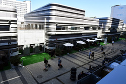 Paddock
