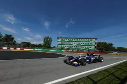 Pascal Wehrlein, Sauber C36