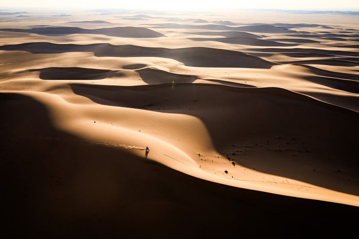 #73 Red Bull KTM Factory Racing KTM: Edgar Canet