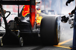 Палаючі гальма Red Bull Racing RB12 Макса Ферстаппена