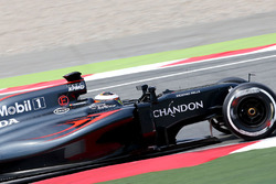 Stoffel Vandoorne, McLaren MP4-31 Test and Reserve Driver