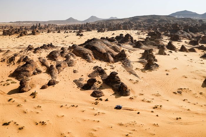 #227 Ford M-Sport Ford: Нани Рома, Алекс Аро Браво