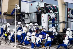 Pascal Wehrlein, Sauber C36