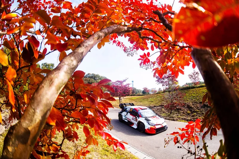 Elfyn Evans, Scott Martin