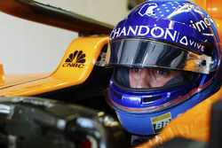 Fernando Alonso, McLaren, in cockpit