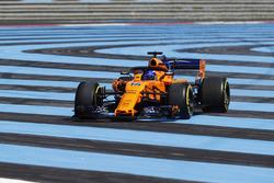 Fernando Alonso, McLaren MCL33, runs off track