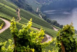 Daniel Sordo, Marc Marti, Hyundai i20 WRC, Hyundai Motorsport