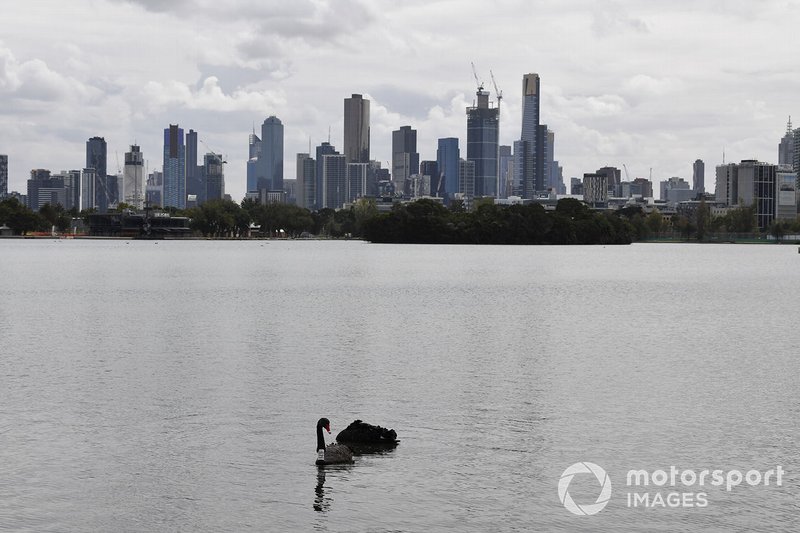 Aves en el lago Albert Park, frente al horizonte de Melbourne