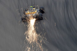 Carlos Sainz Jr., Renault Sport F1 Team R.S. 18
