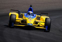 Marco Andretti, Andretti Autosport Honda