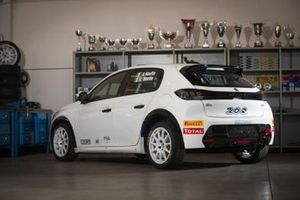 Andrea Nucita, Giuseppe Nucita, F.P.F. Sport, Peugeot 208 Rally4