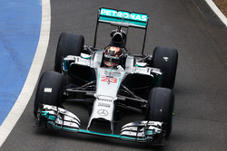 Pascal Wehrlein, Mercedes AMG F1 W05 Hybrid Test Driver