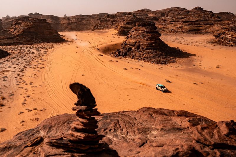 #502 Defender Rally, Defender D7X-R: Rokas Baciuska, Oriol Vidal 