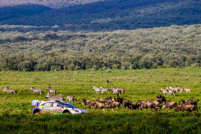 Джон Армстронг, Шейн Бирн, команда M-Sport Ford World Rally Team Ford Puma Rally1