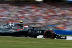 Jenson Button, McLaren MP4-31