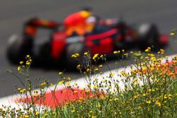 Daniel Ricciardo, Red Bull Racing RB12