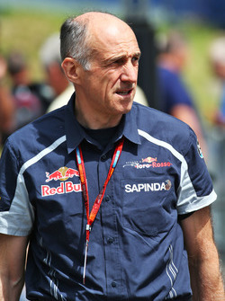 Franz Tost, Scuderia Toro Rosso, Teamchef