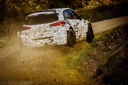 Kevin Abbring e Sebastian Marshall, Hyundai i20 R5, Hyundai Motorsport